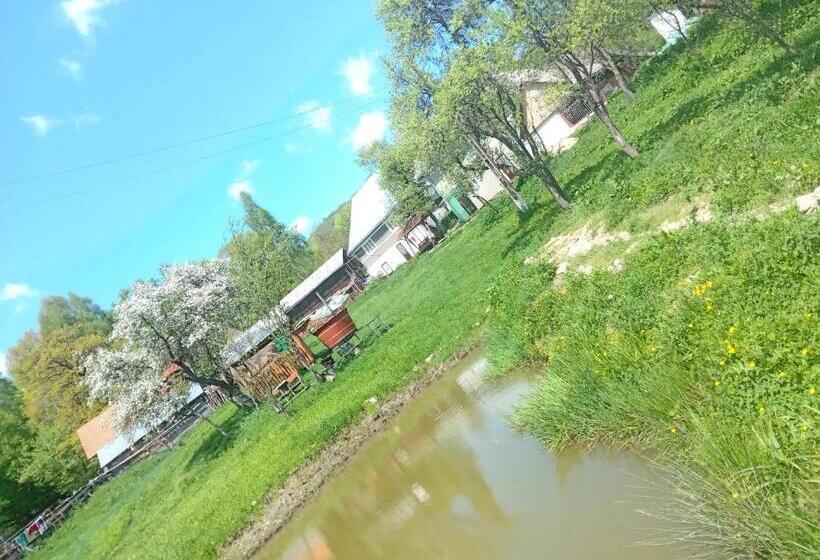 پانسیون Room In Guest Room   Sejour In Green Garden With Lake View For 2 People