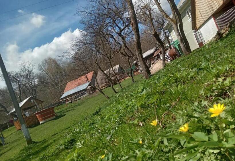پانسیون Room In Guest Room   Sejour In Green Garden With Lake View For 2 People