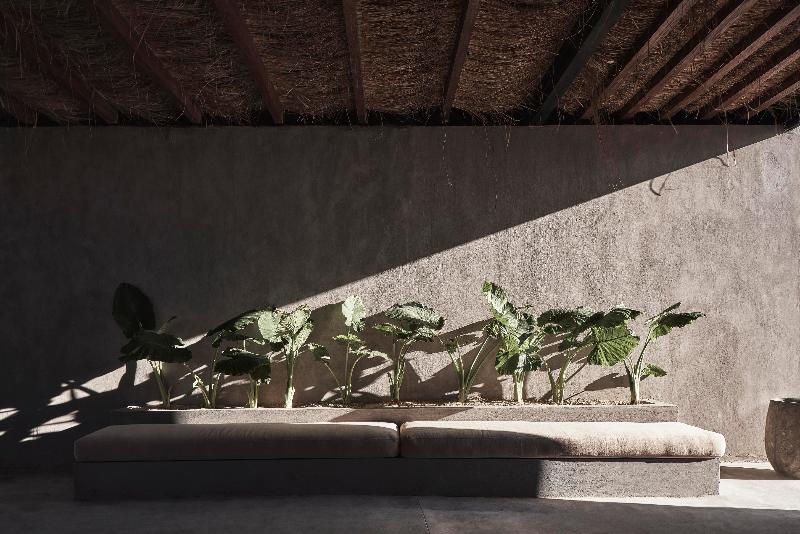 אתר נופש Casa Cook North Coast    Adults Only