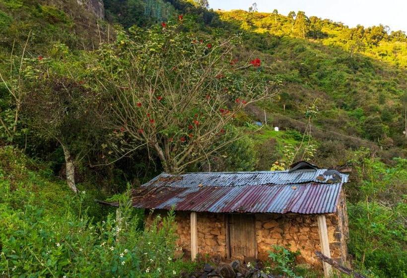 استراحتگاه Warmth Hill Crest