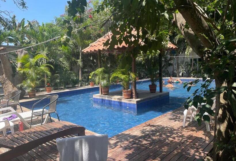 هاستل Hostal Hilltop Palomino