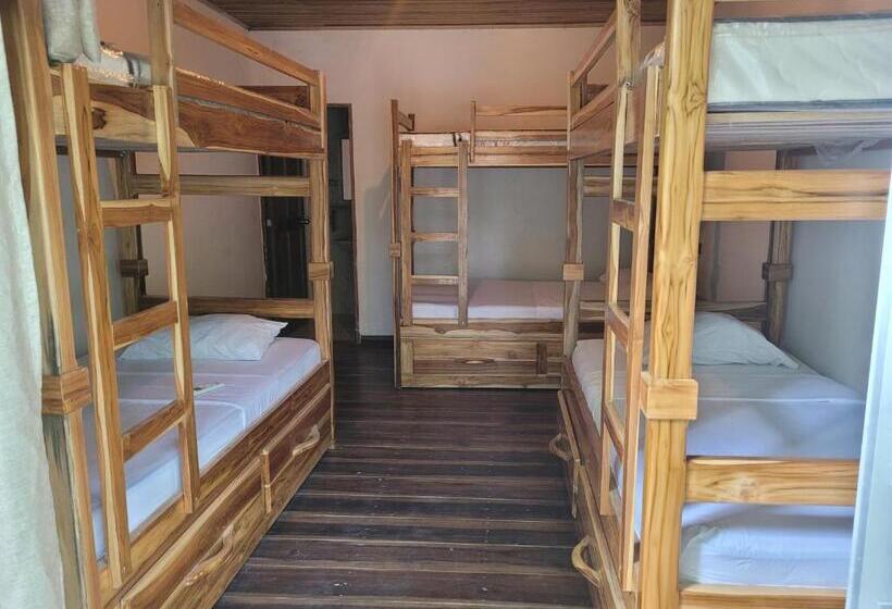هاستل Hostal Hilltop Palomino