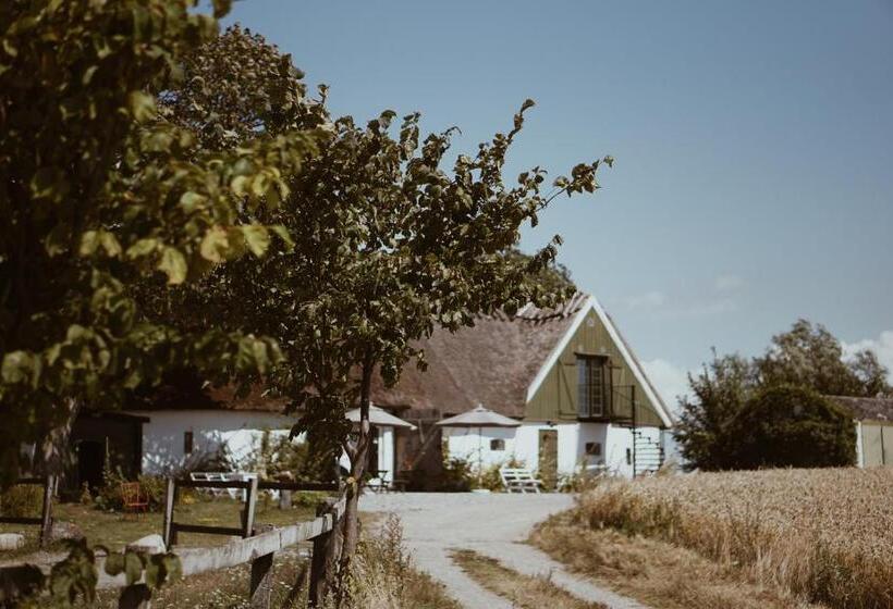 צימר Axatorpsgården