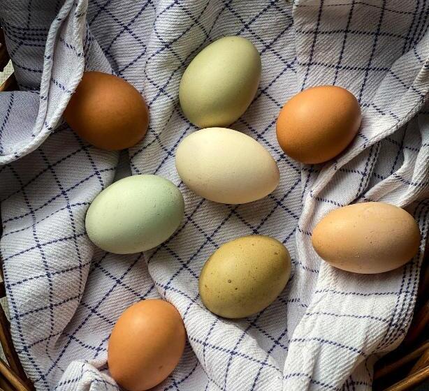 فندق Rallarhustruns