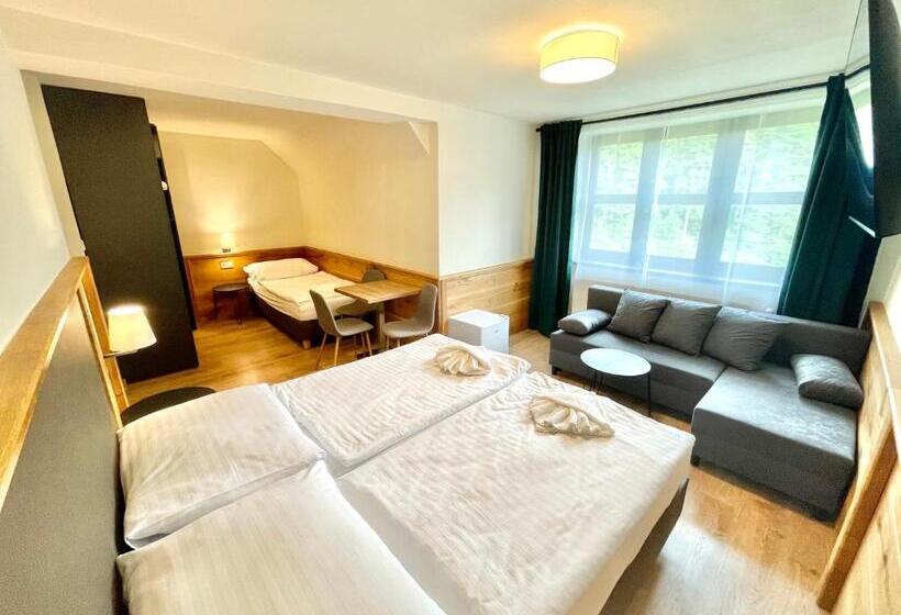 پانسیون Villa Pinus Slovenský Raj   Hotel čingov Dependance