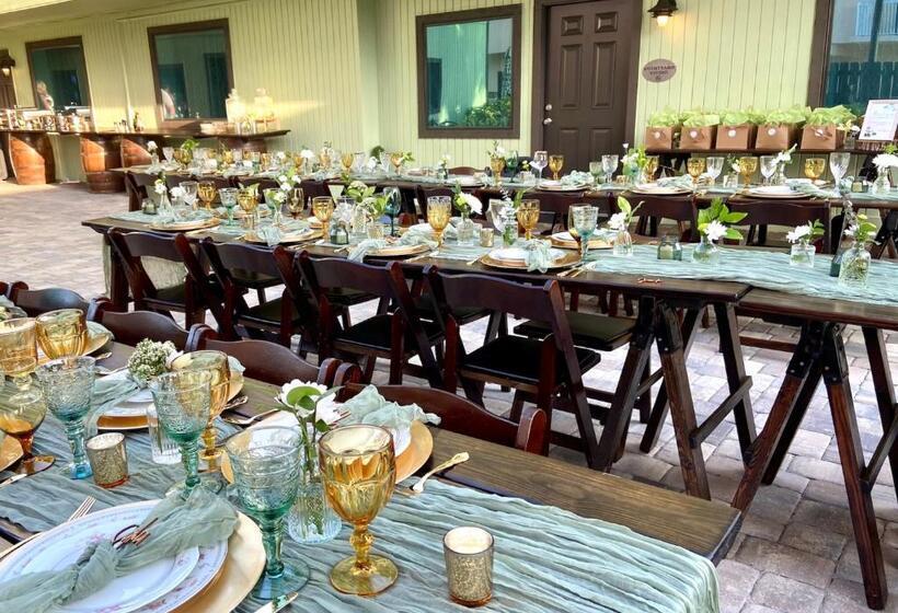 מוטל Organic Beach Retreat