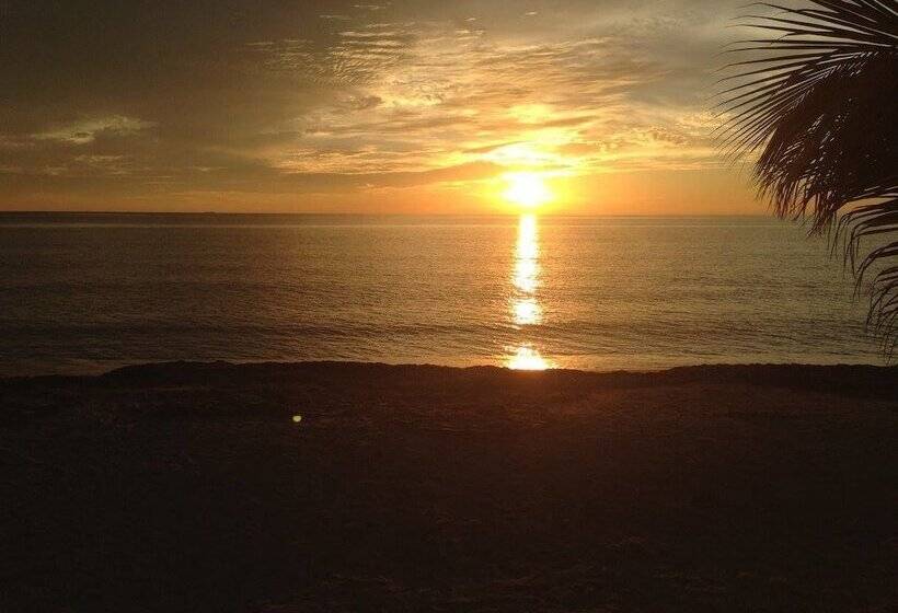 پانسیون Casa Sattva  Bed & Breakfast