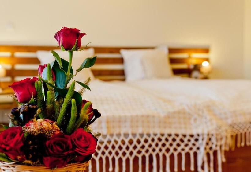 Pensiunea Inima Bucovinei