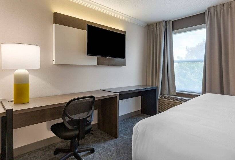 酒店 Comfort Inn & Suites