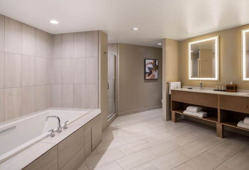 هتل Embassy Suites By Hilton Albuquerque