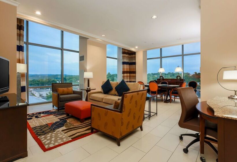 فندق Hilton Branson Convention Center