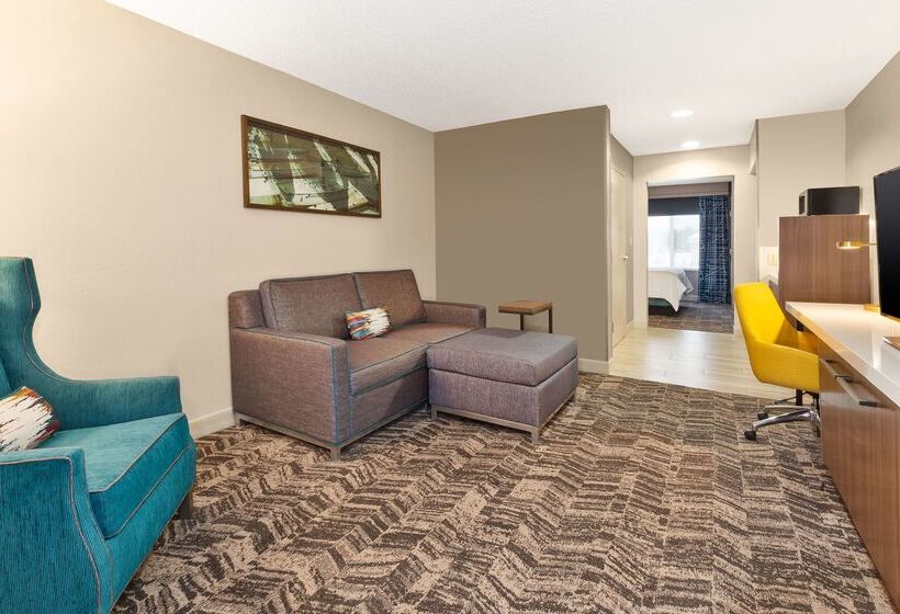 فندق Hilton Garden Inn Minneapolis   Maple Grove