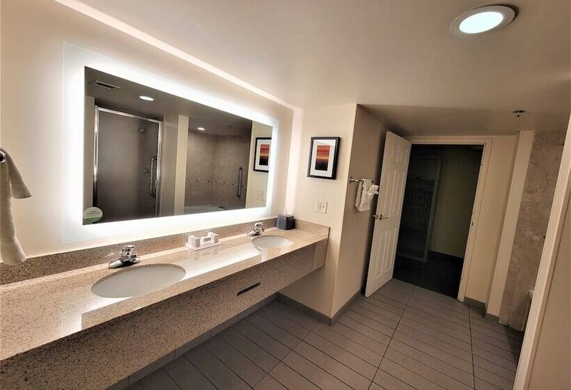 هتل Holiday Inn & Suites Ann Arbor Univ Michigan Area By Ihg