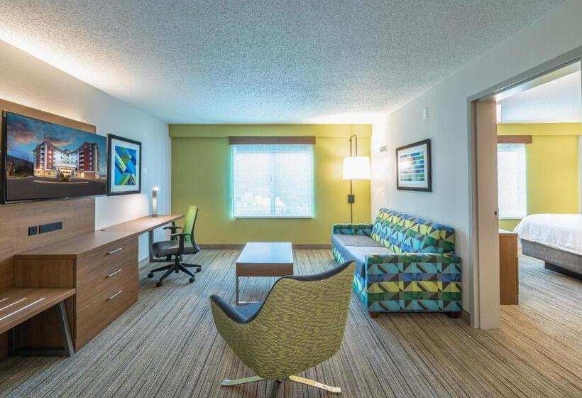 هتل Holiday Inn Express & Suites Asheville Downtown, An Ihg