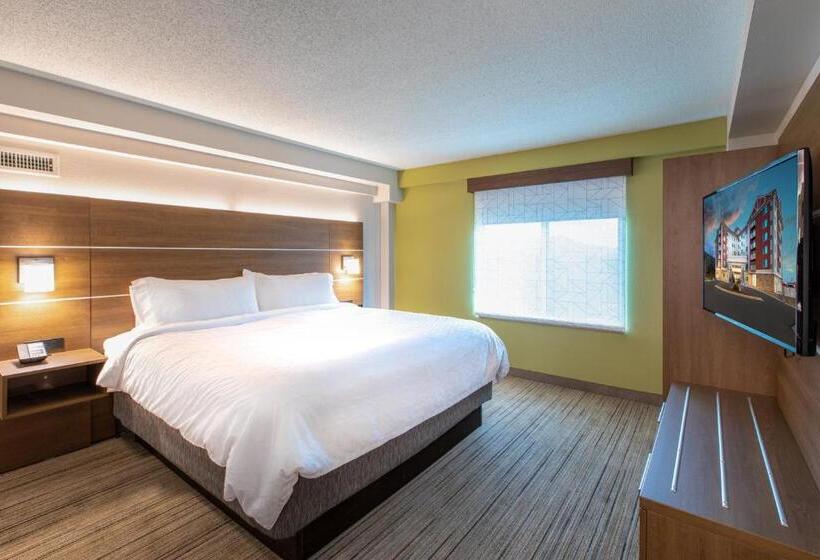 هتل Holiday Inn Express & Suites Asheville Downtown, An Ihg