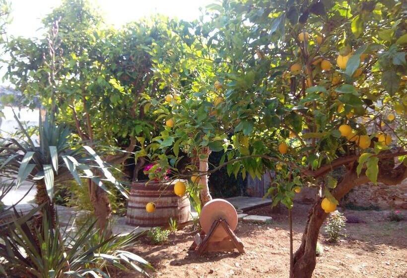 تختخواب و صبحانه Baglio Bellavista