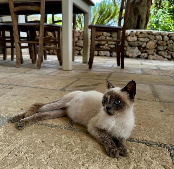 호텔 L Aia Di San Giorgio