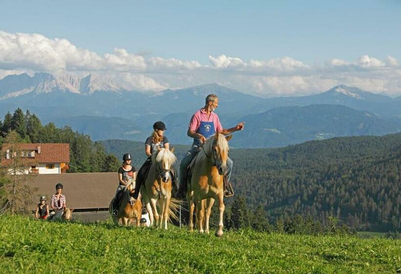 هتل Oberfahrerhof Jenesien