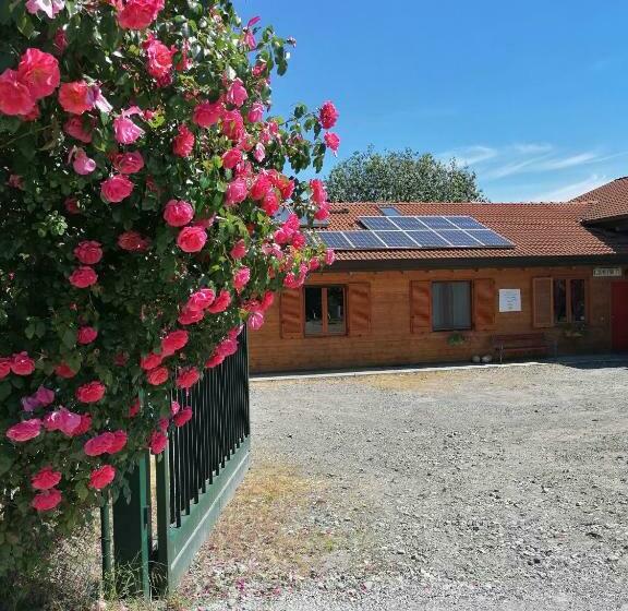 酒店 Agriturismo Bio Apipoli