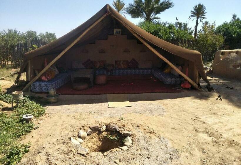 تختخواب و صبحانه Tarmguist