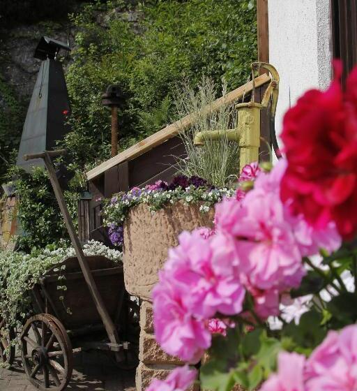 בית מלון כפרי Berg