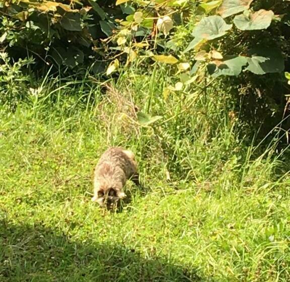 Pension ぽかぽか（poka Poka）
