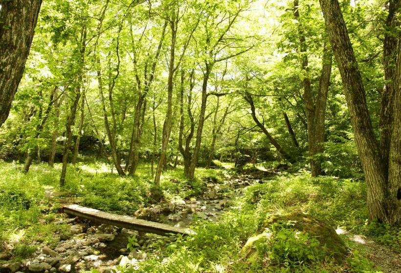 渡假胜地 Yatsugatake Grace