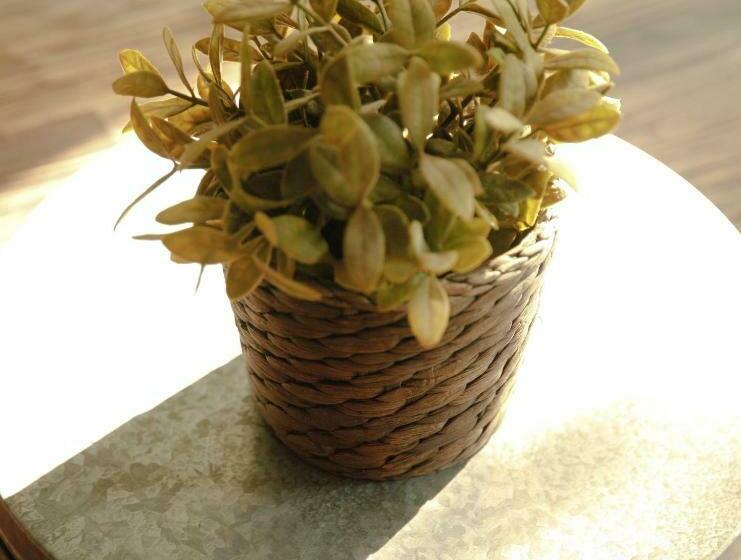 هاستل Woods Inn