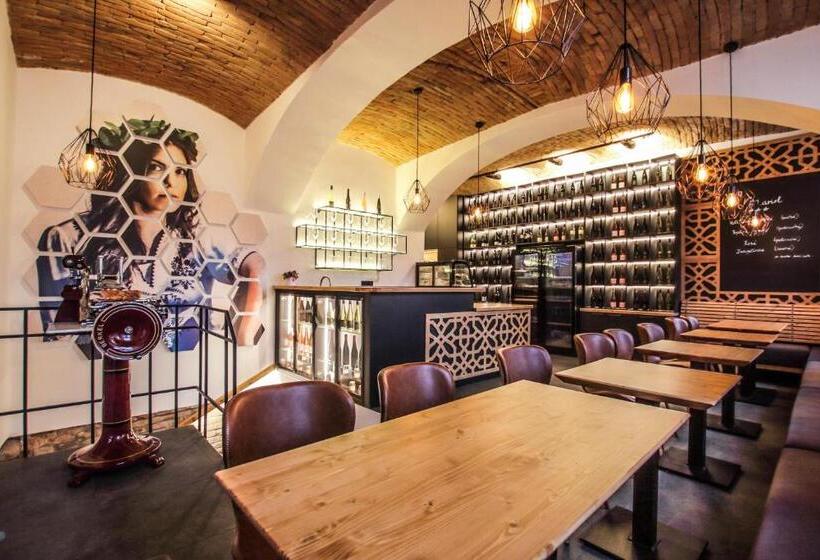 هتل Mariel Znojmo