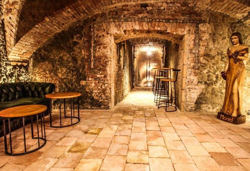 هتل Mariel Znojmo