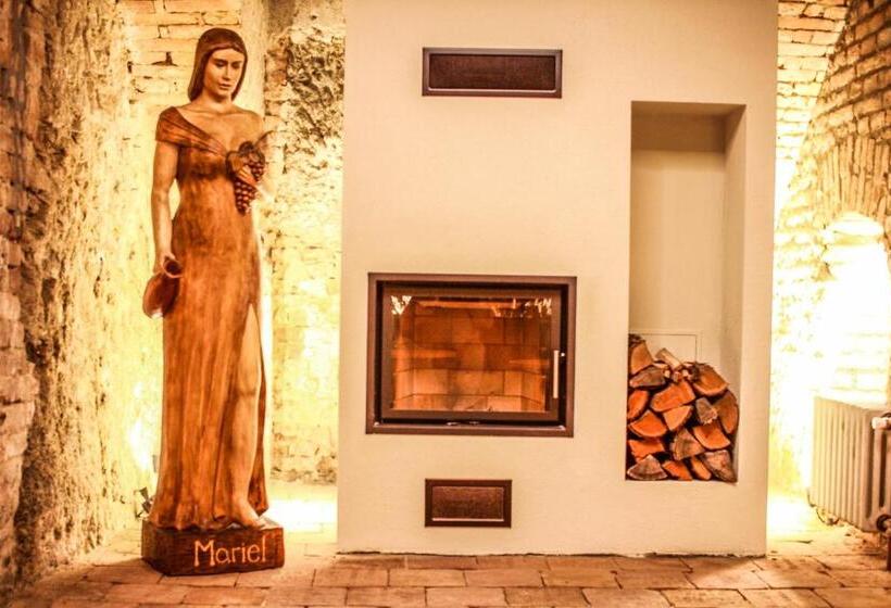 هتل Mariel Znojmo