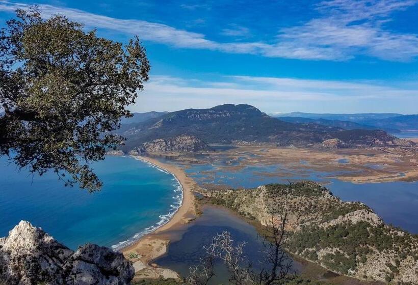 בית מלון כפרי Turay