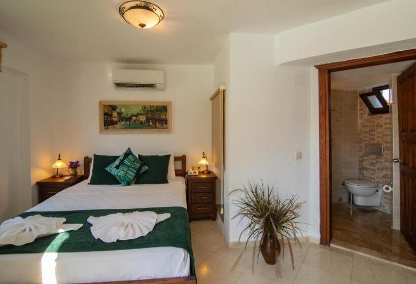 בית מלון כפרי Turay