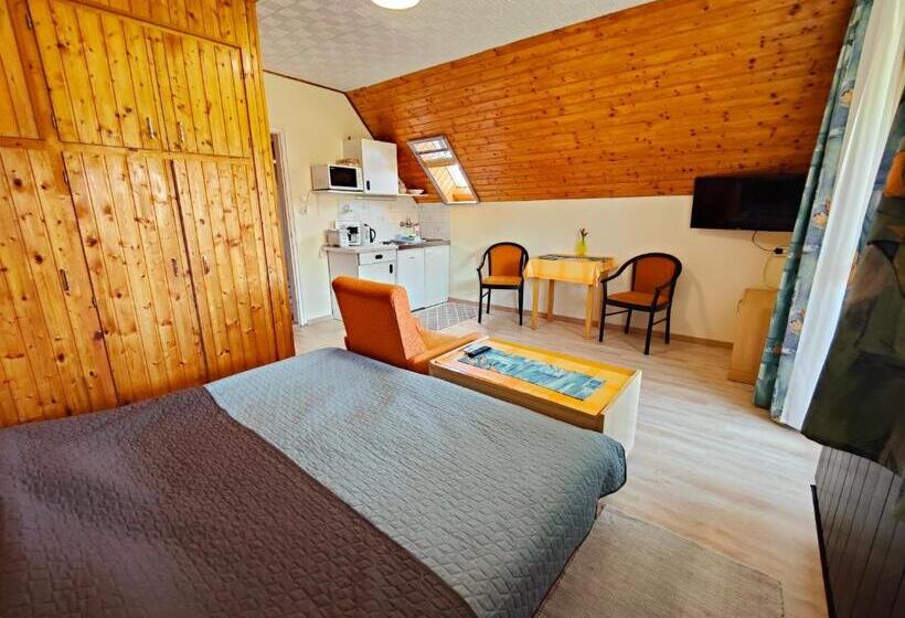 بنسيون Viola House