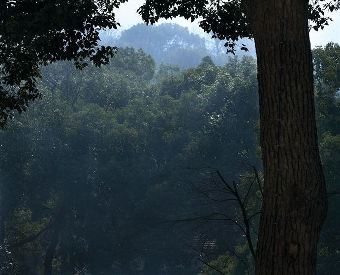 Отель Landison Longjing Resort Hangzhou