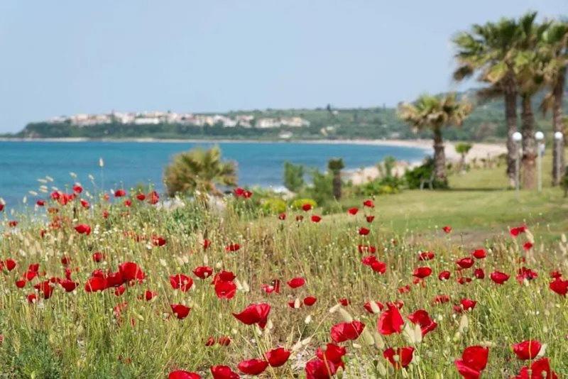 בית מלון כפרי Poseidon Beach