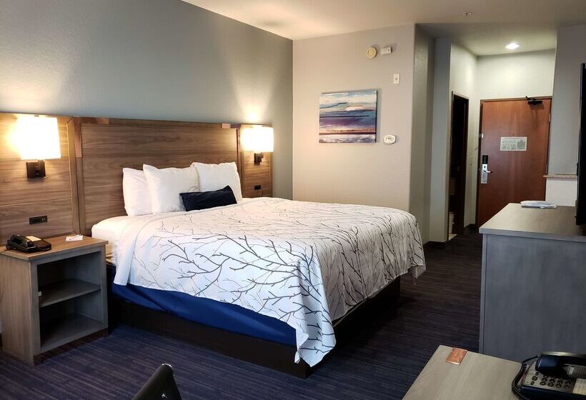 酒店 Best Western Plus San Antonio East Inn & Suites