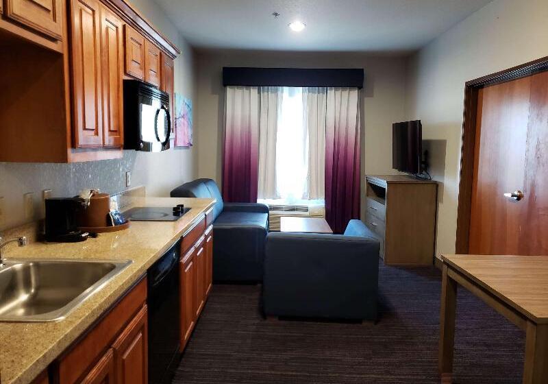 酒店 Best Western Plus San Antonio East Inn & Suites