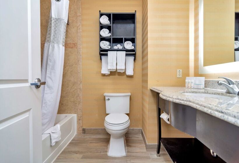 هتل Hampton Inn & Suites Fort Worth Fossil Creek