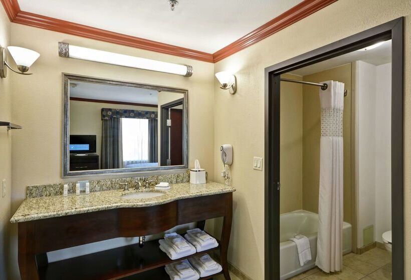 هتل Hampton Inn & Suites Corpus Christi I37  Navigation Blvd