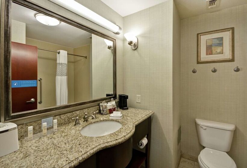 هتل Hampton Inn & Suites Corpus Christi I37  Navigation Blvd