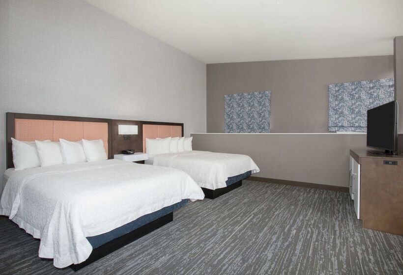 هتل Hampton Inn & Suites Denverdowntown