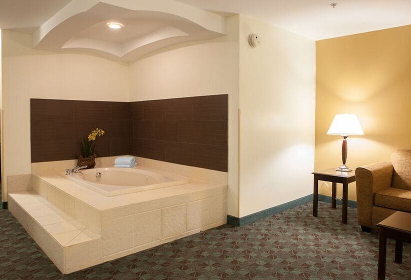 Holiday Inn Express Hotel & Suites Canton, An Ihg