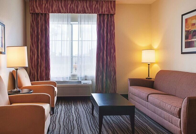 בית מלון כפרי La Quinta Inn & Suites By Wyndham Slidell   North Shore Area