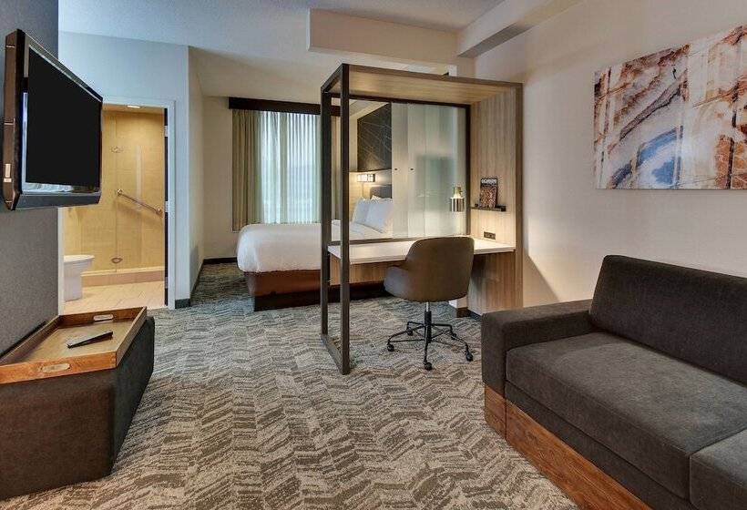 هتل Springhill Suites By Marriott Birmingham Downtown At Uab