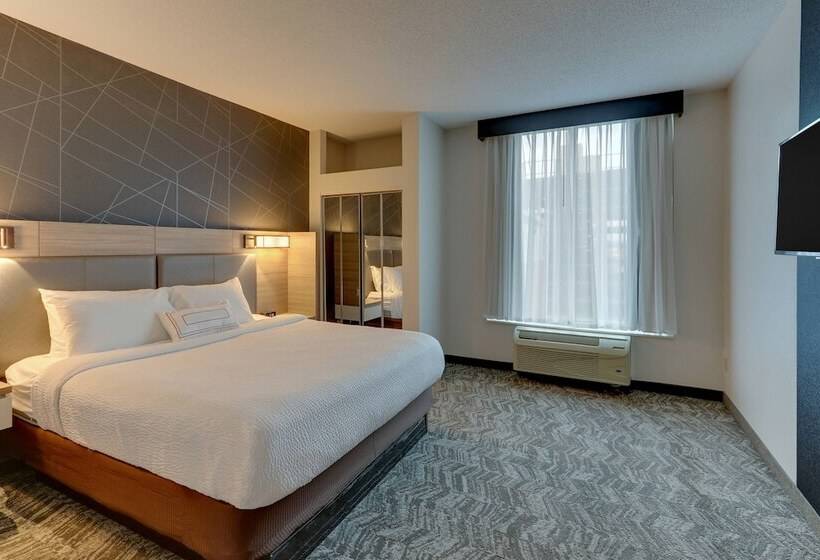 هتل Springhill Suites By Marriott Birmingham Downtown At Uab