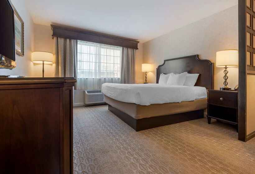 酒店 Best Western Plus Vineyard Inn And Suites