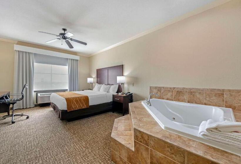 هتل Comfort Inn & Suites Fort Worth  Fossil Creek