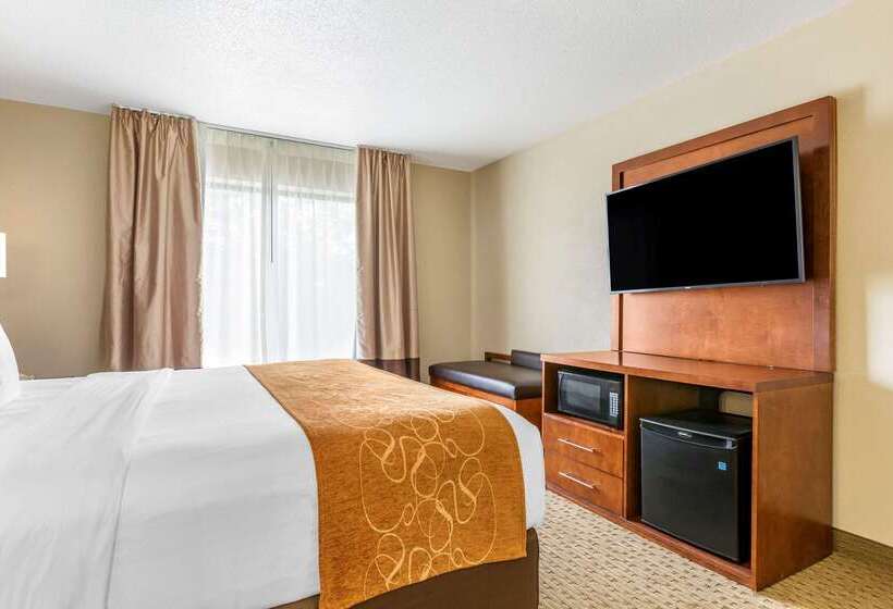 هتل Comfort Suites Grand Rapids North