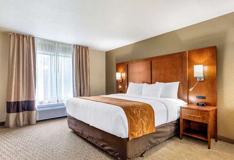 هتل Comfort Suites Grand Rapids North